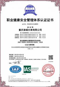職業(yè)健康安全管理體系認(rèn)證證書(shū)